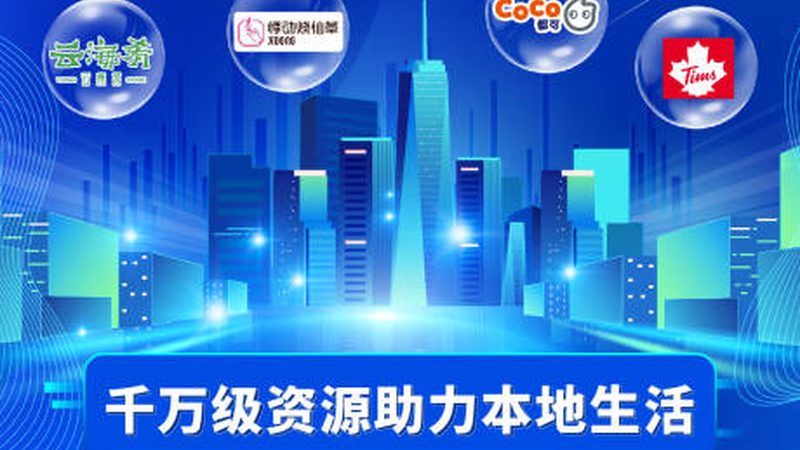月嫂加盟品牌解析：揭秘优缺点与选择标准